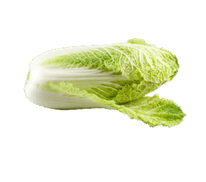 Napa cabbage