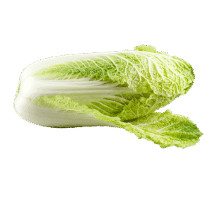 Napa cabbage